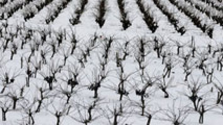 El tiempo - El Gobierno pide disculpas a las personas atrapadas por las nevadas