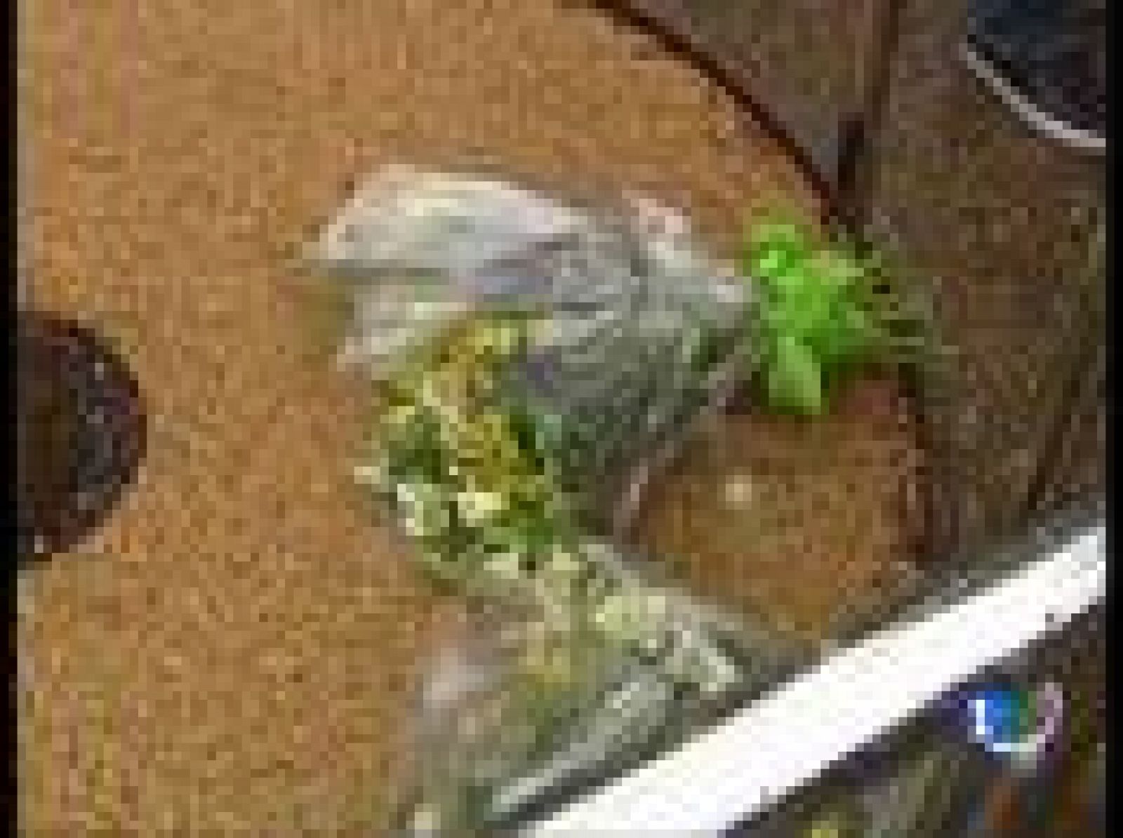 El PP ha celebrado en Zarautz el homenaje que cada año rinde a los miembros de su partido asesinados por ETA | Ver