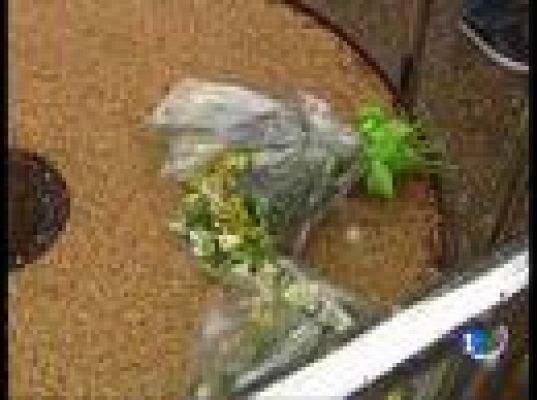  - Homenaje a las víctimas del PP