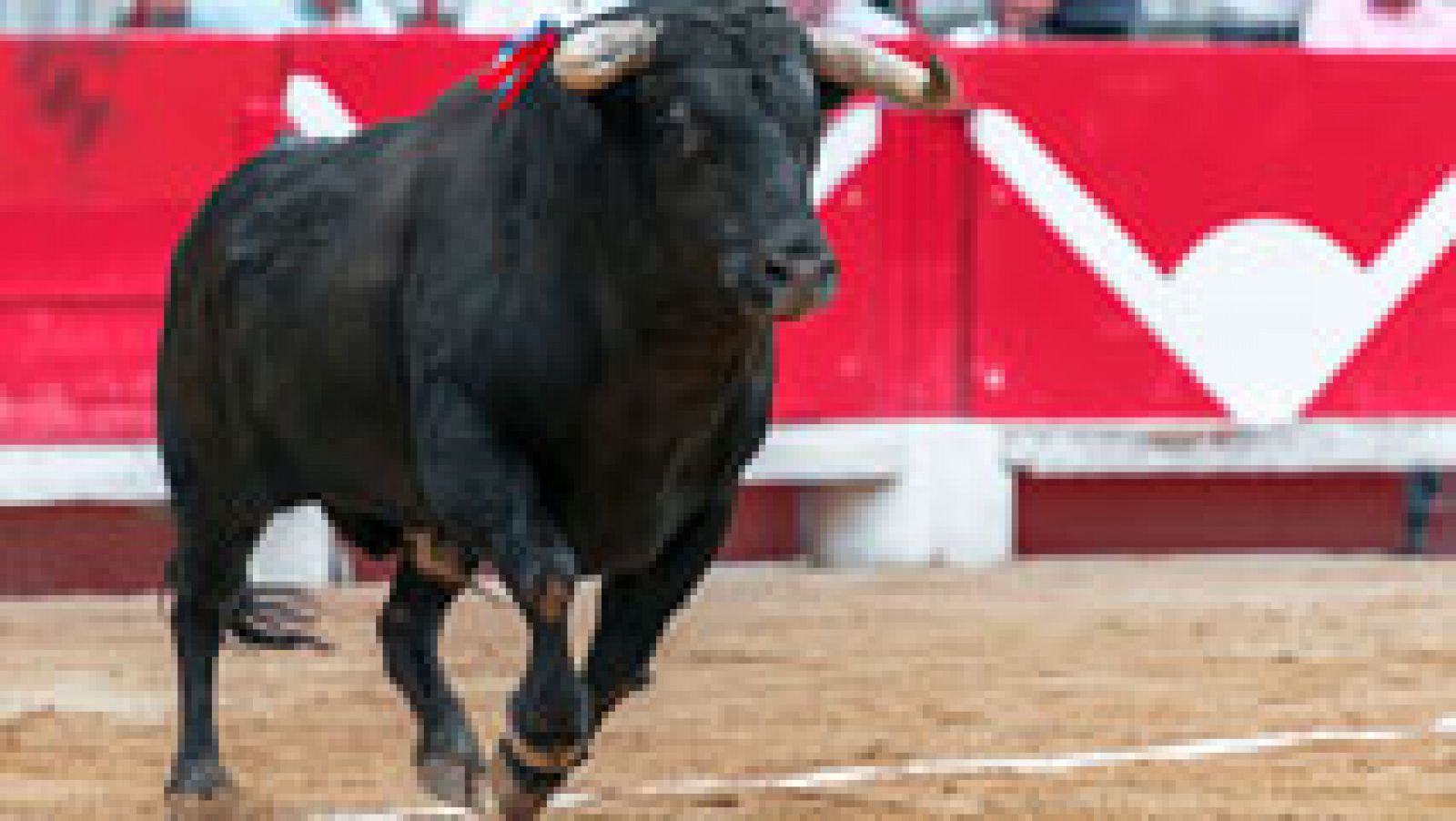 Telediario 1: Victorino Martín recibirá el premio nacional de Tauromaquia | RTVE Play