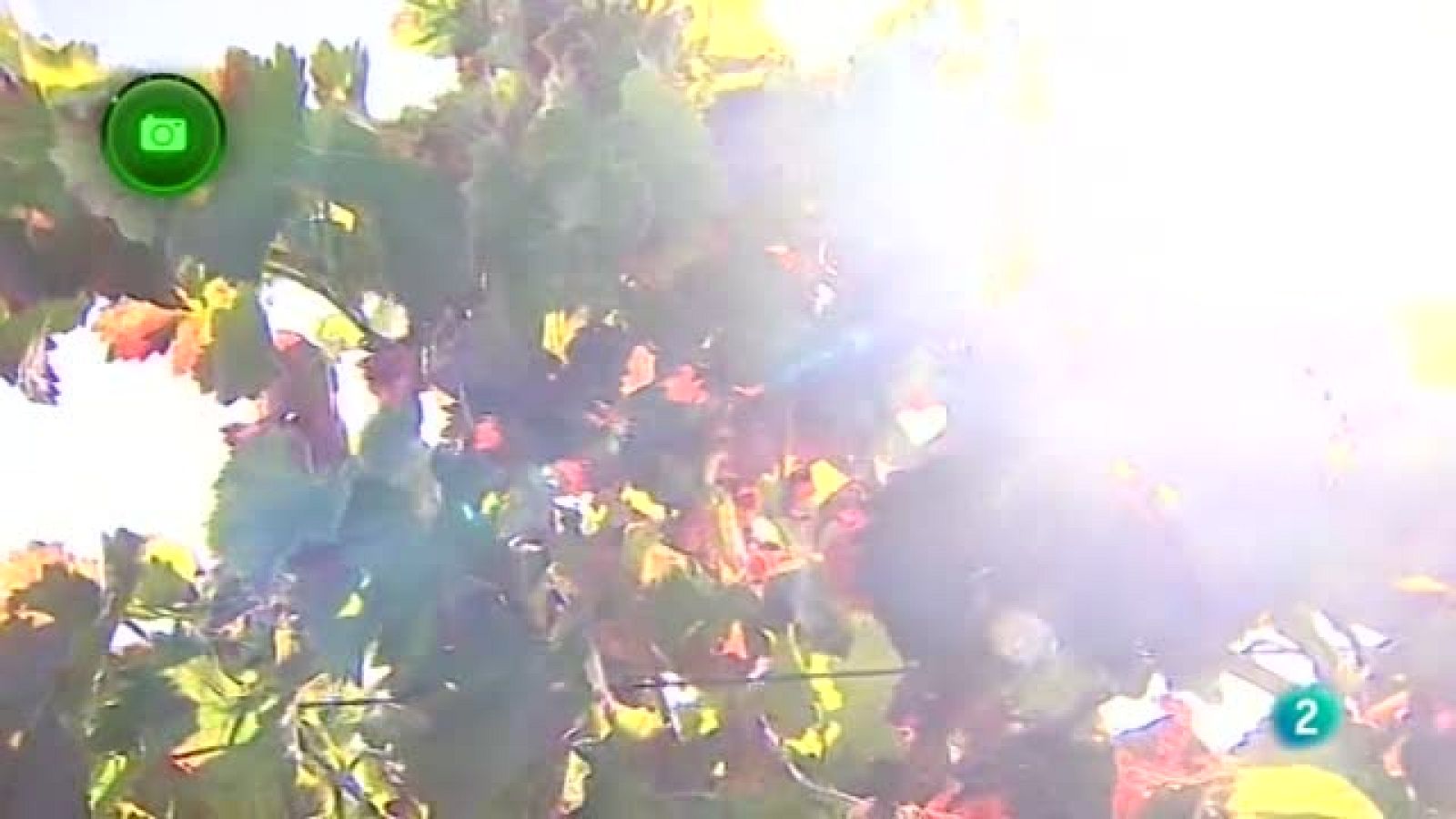 Agrosfera - En clave rural - Comarca de Borja, Zaragoza