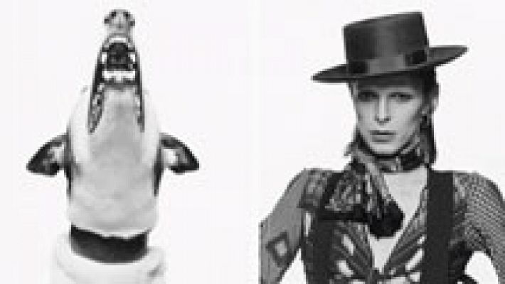 Telediario 1 - Terry O'Neil, muestra su obra en Madrid