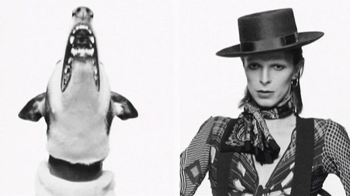 Telediario 1 - Terry O'Neil, muestra su obra en Madrid