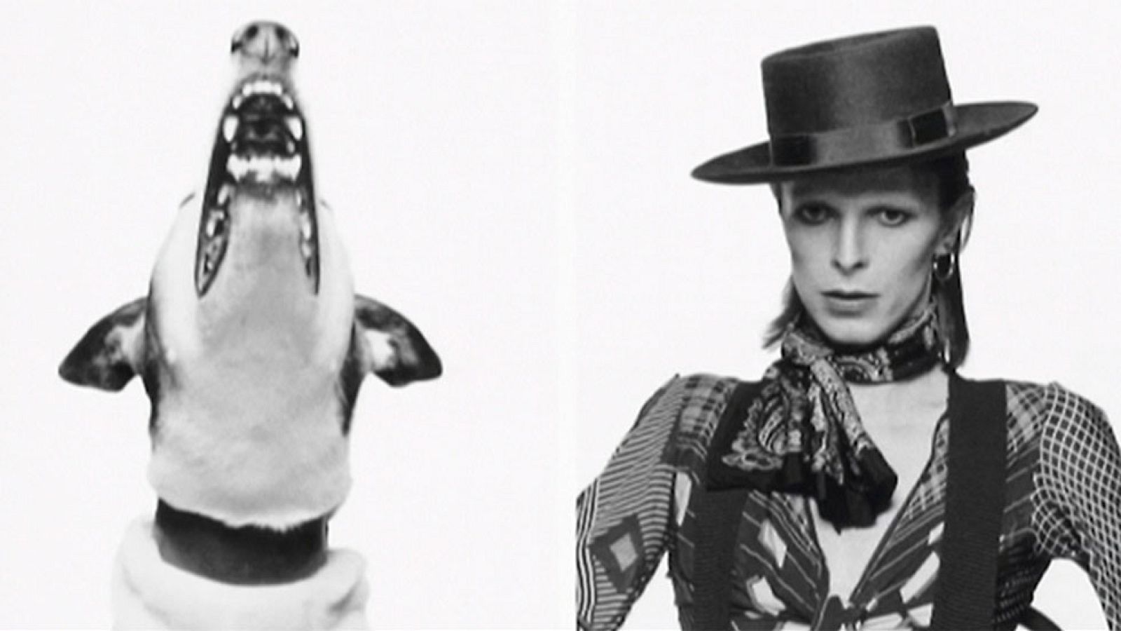 El fotógrafo de las estrellas, Terry O'Neil, muestra su obra en Madrid