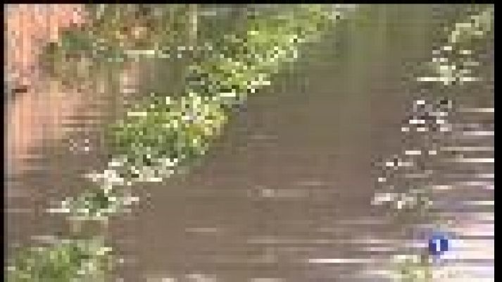 Informatiu Balear - Informatiu Balear 2 - 23/01/17