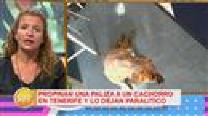 Cerca de ti - Cerca de ti - 23/01/2017