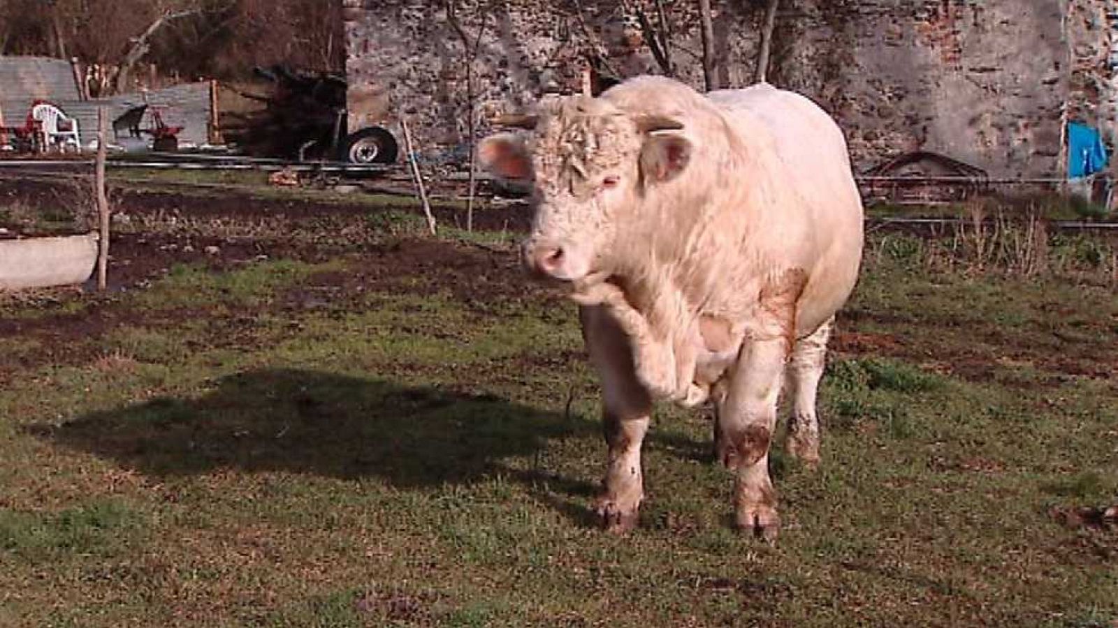 España en 24 horas - 23/01/17  - Ver ahora