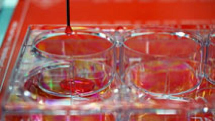 Telediario 1 - Científicos españoles diseñan una bioimpresora 3D de piel humana