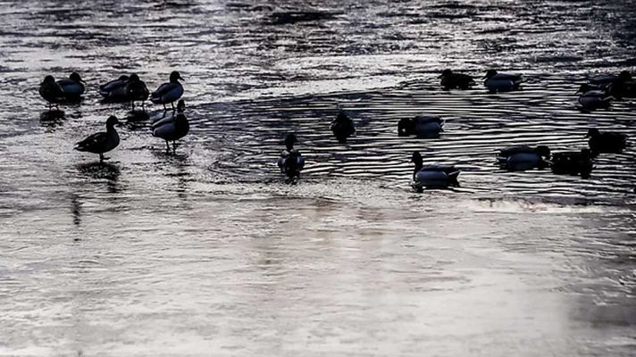 Informativo de Madrid - El Tiempo en la Comunidad de Madrid - 24/01/17