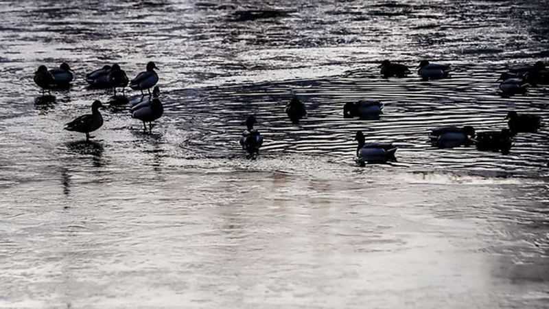 El Tiempo en la Comunidad de Madrid - 24/01/17