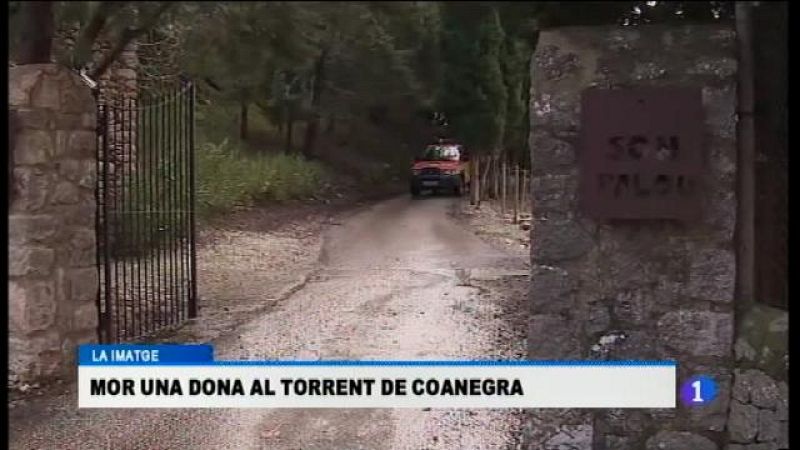 Informatiu Balear en 2' - 24/01/17