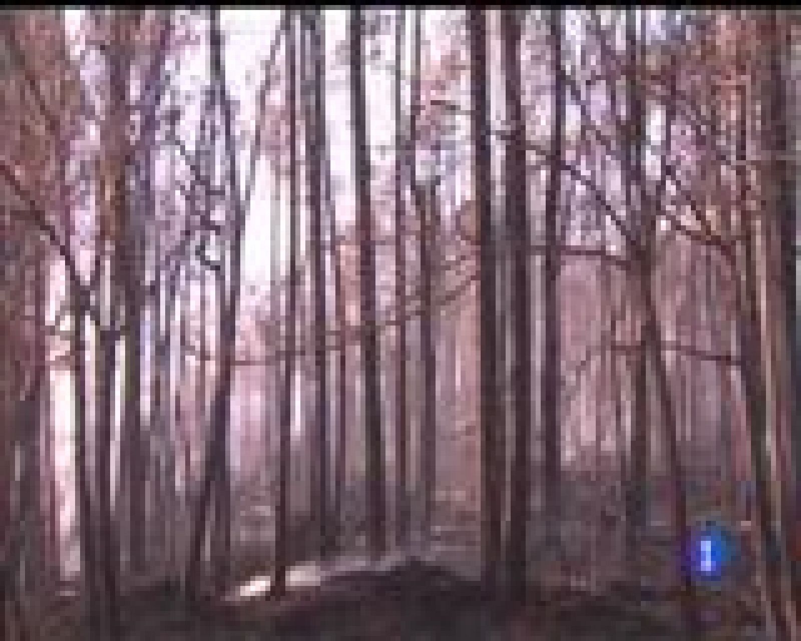 Asturias en 2' - 24/01/17 | Ver