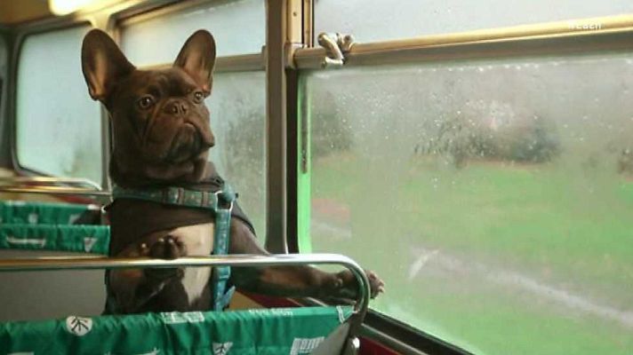 La 2 Noticias - La 2 Noticias - 24/01/17