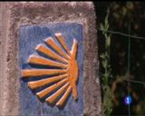 Panorama Regional - Panorama Regional 2 - 25/01/17