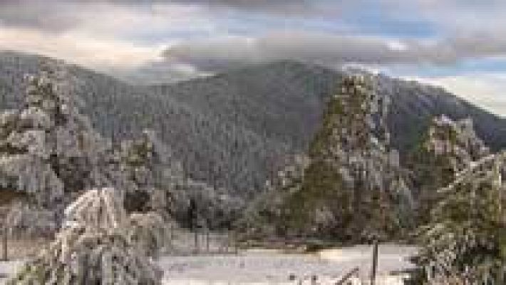 Informativo de Madrid - El Tiempo en la Comunidad de Madrid - 26/01/17