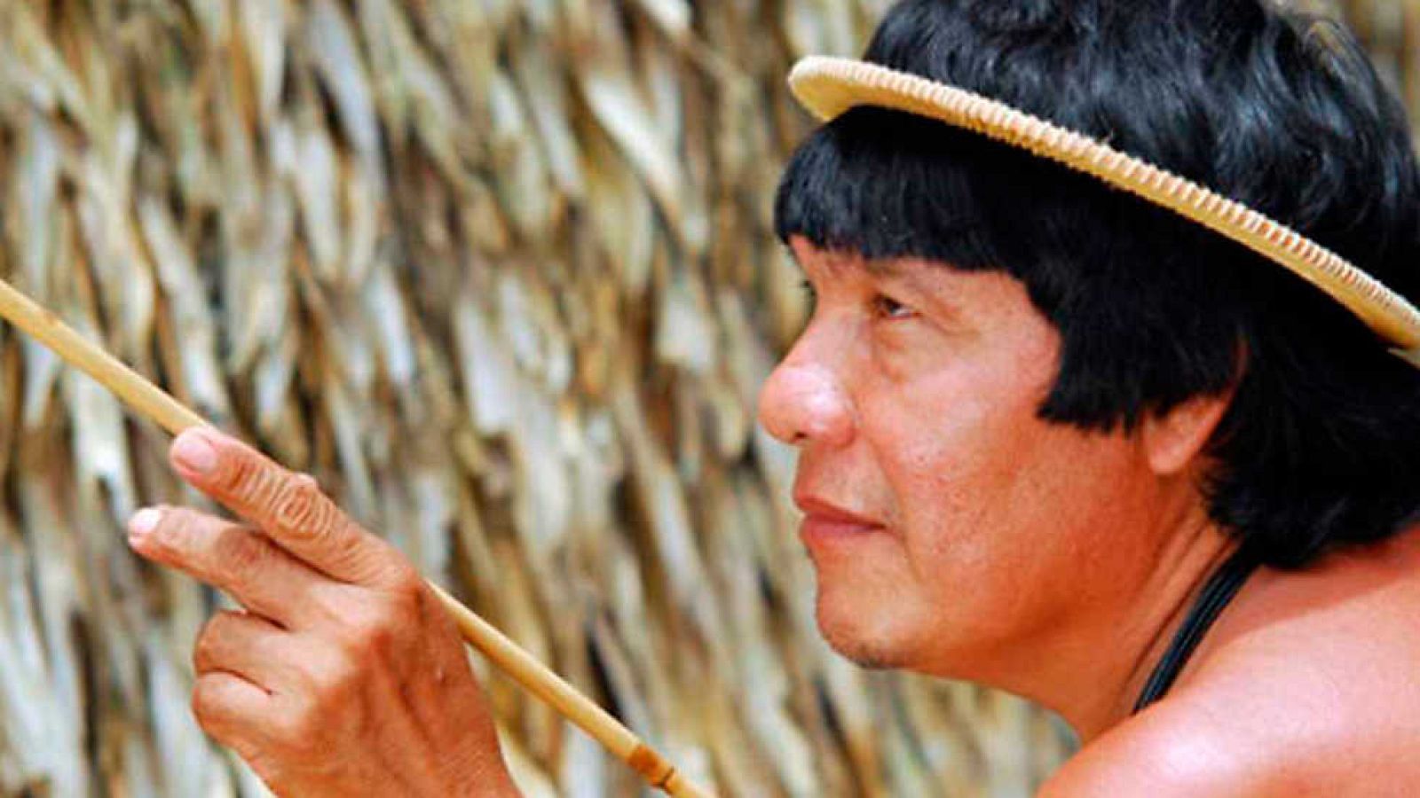 El documental - Un mundo aparte: Laberinto Amazonas - ver ahora