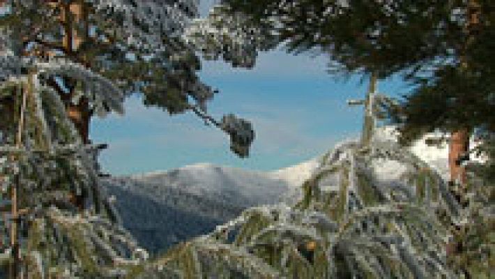 Informativo de Madrid - El Tiempo en la Comunidad de Madrid - 27/01/17