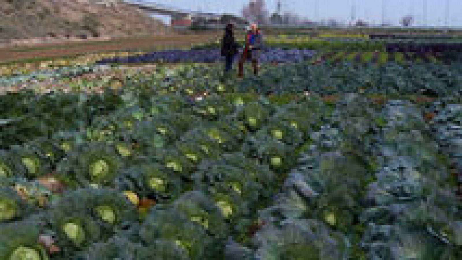 Aquí la Tierra - 27/01/17 - ver ahora