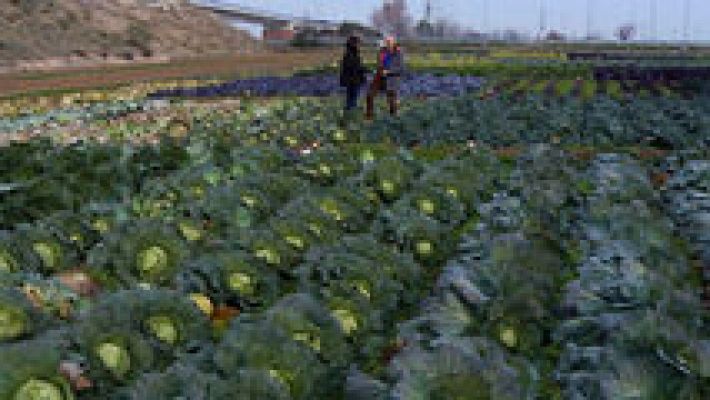 Aquí la Tierra - Aquí la Tierra - 27/01/17