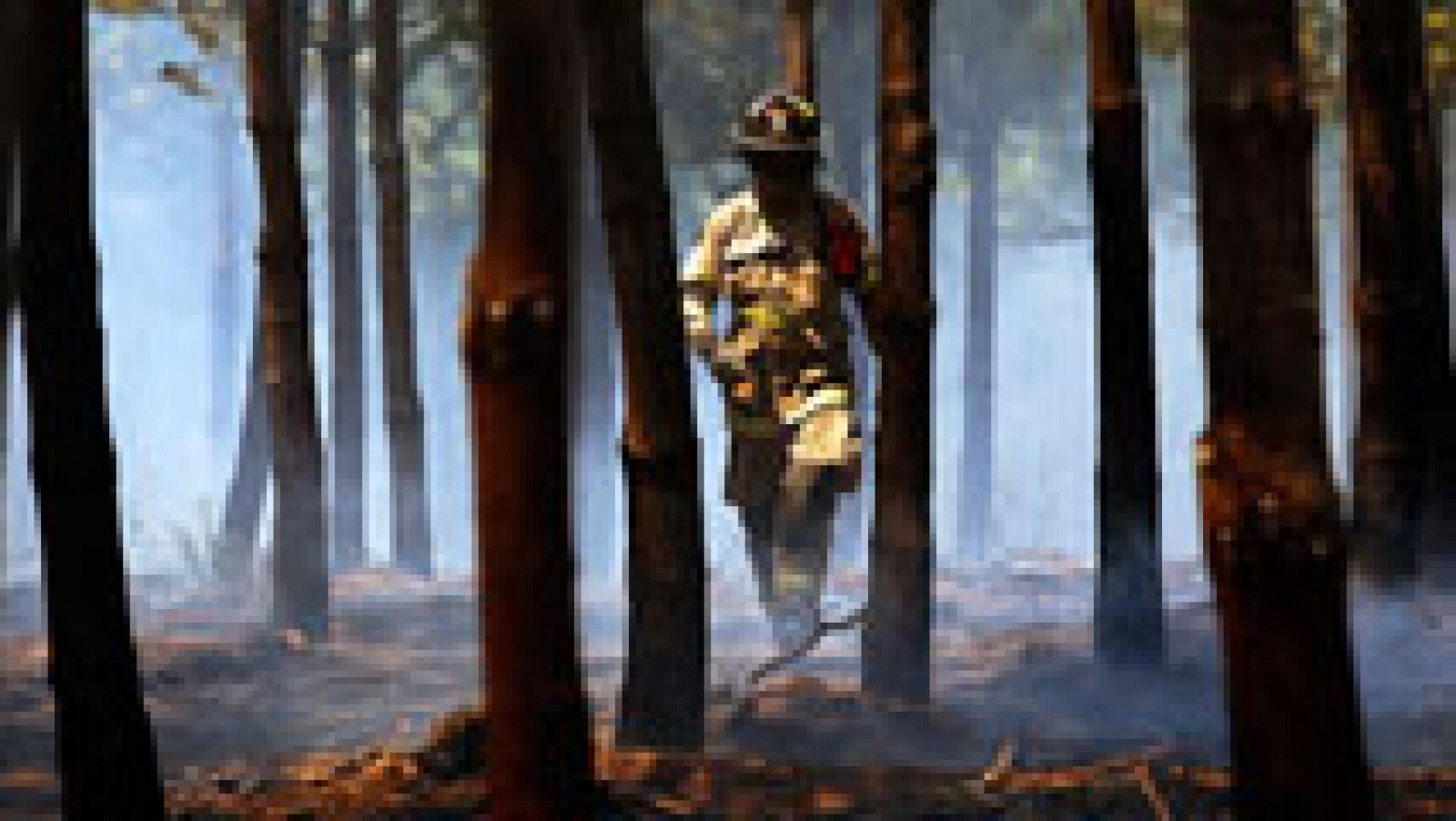 Telediario 1: La UME ayuda a luchar contra los incendios en Chile | RTVE Play
