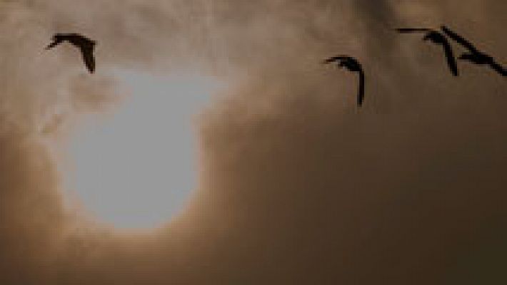 El tiempo - La semana comenzará con nubes y viento fuerte en el litoral de Galicia