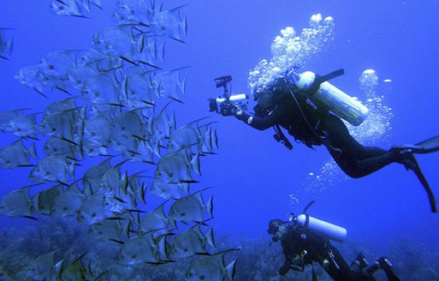 Ciencia y tecnología en Rtve.es - En defensa de los fondos marinos