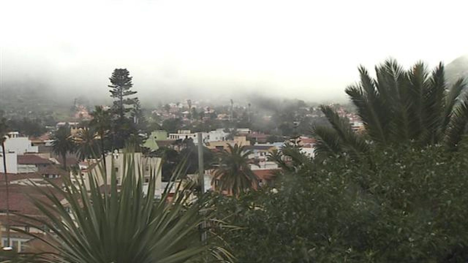 El tiempo en Canarias - 31/01/2017