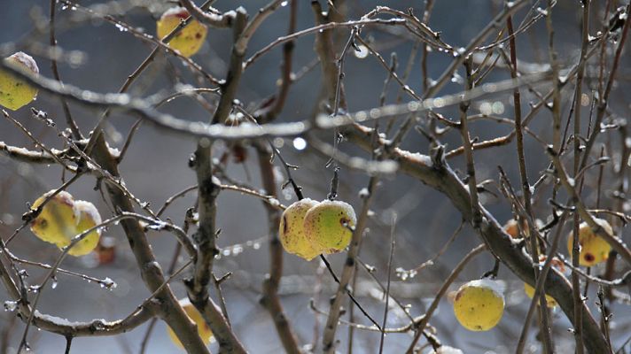 El tiempo - Lluvias en el noroeste e interior peninsular