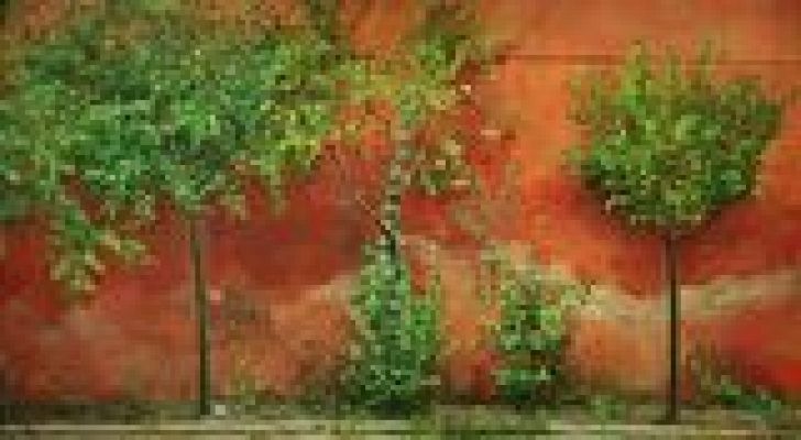 Universo UNED - Realistas de Madrid