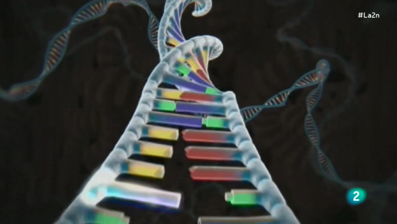 CRISPR, un editor genético revolucionario