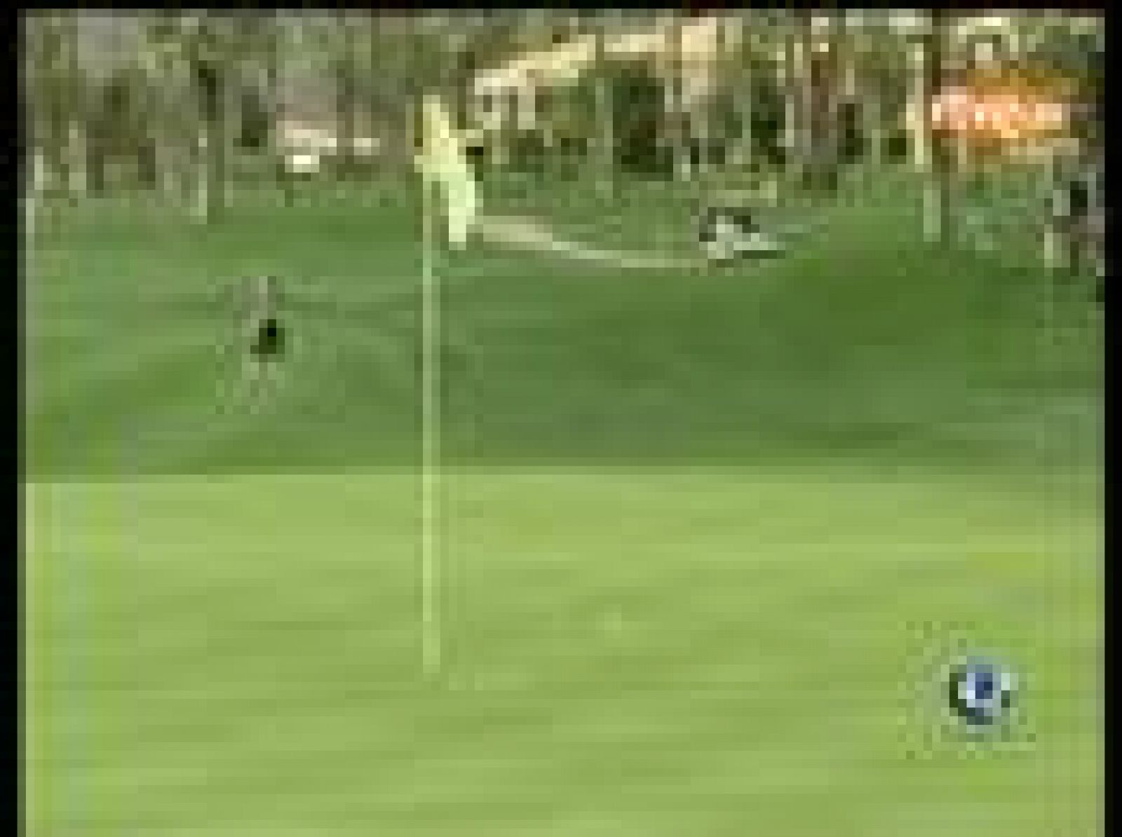 El golfista amateur Gary Levine, que trabaja en una compañía de seguros, ha realizado el golpe de su vida, con un hoyo en uno. A juzgar por las imágenes, le costará volver a repetirlo.