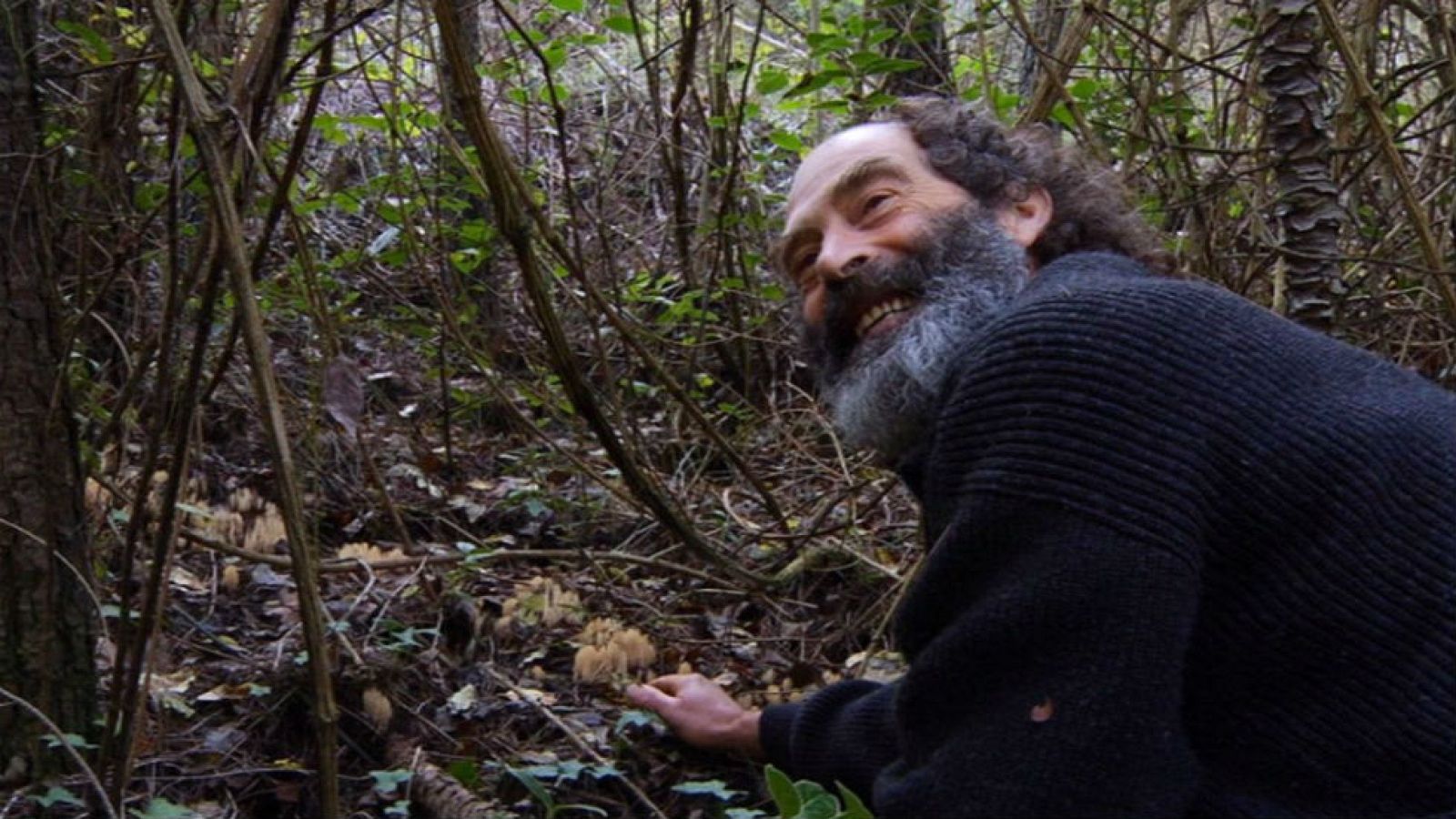 Coger setas, un divertido juego