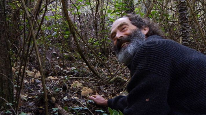 Aquí la Tierra - Coger setas, un divertido juego