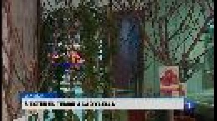 Informatiu Balear - Les Balears són oficialment zona infectada per la xylella fastidiosa