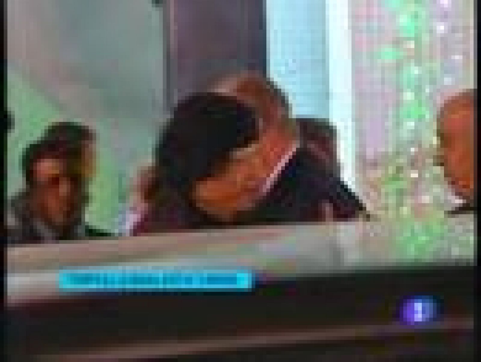 El Rey visita Libia para ampliar el mercado español | Ver