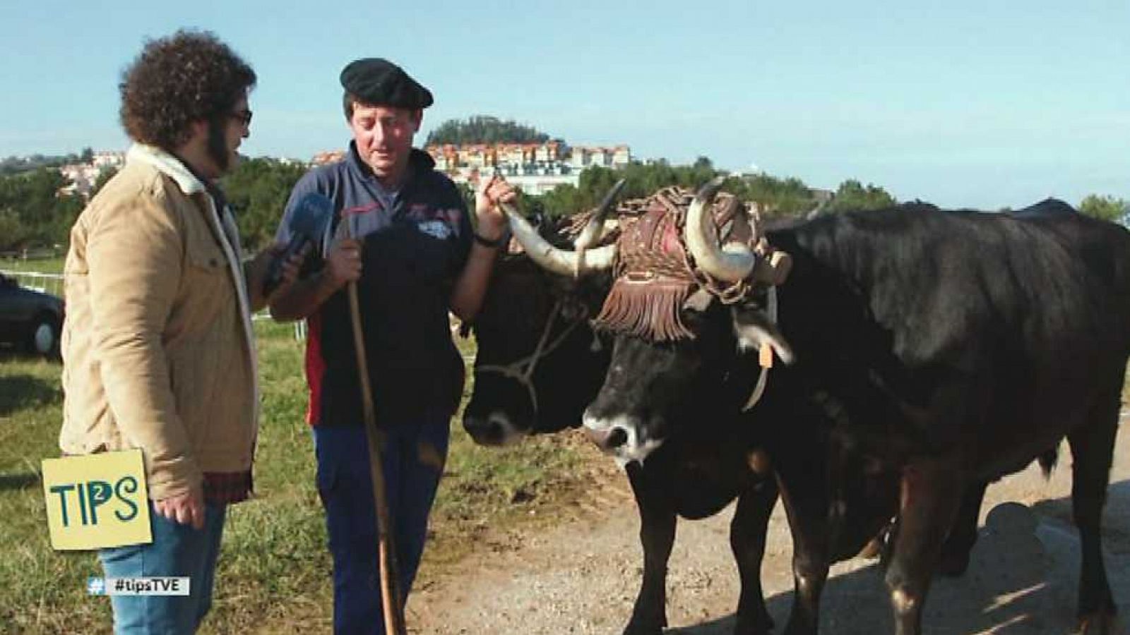 Tips - 03/02/17 - ver ahora