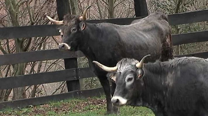 Agrosfera - Agrosfera - 04/02/17