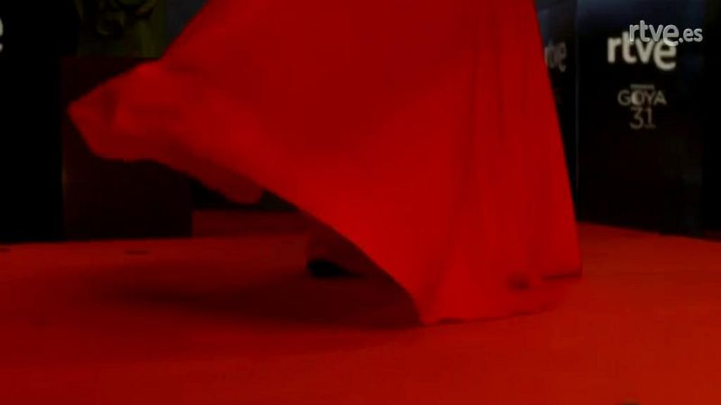 Goyas Golfos 2017 - Cristina Casta�o en la C�mara Glamur