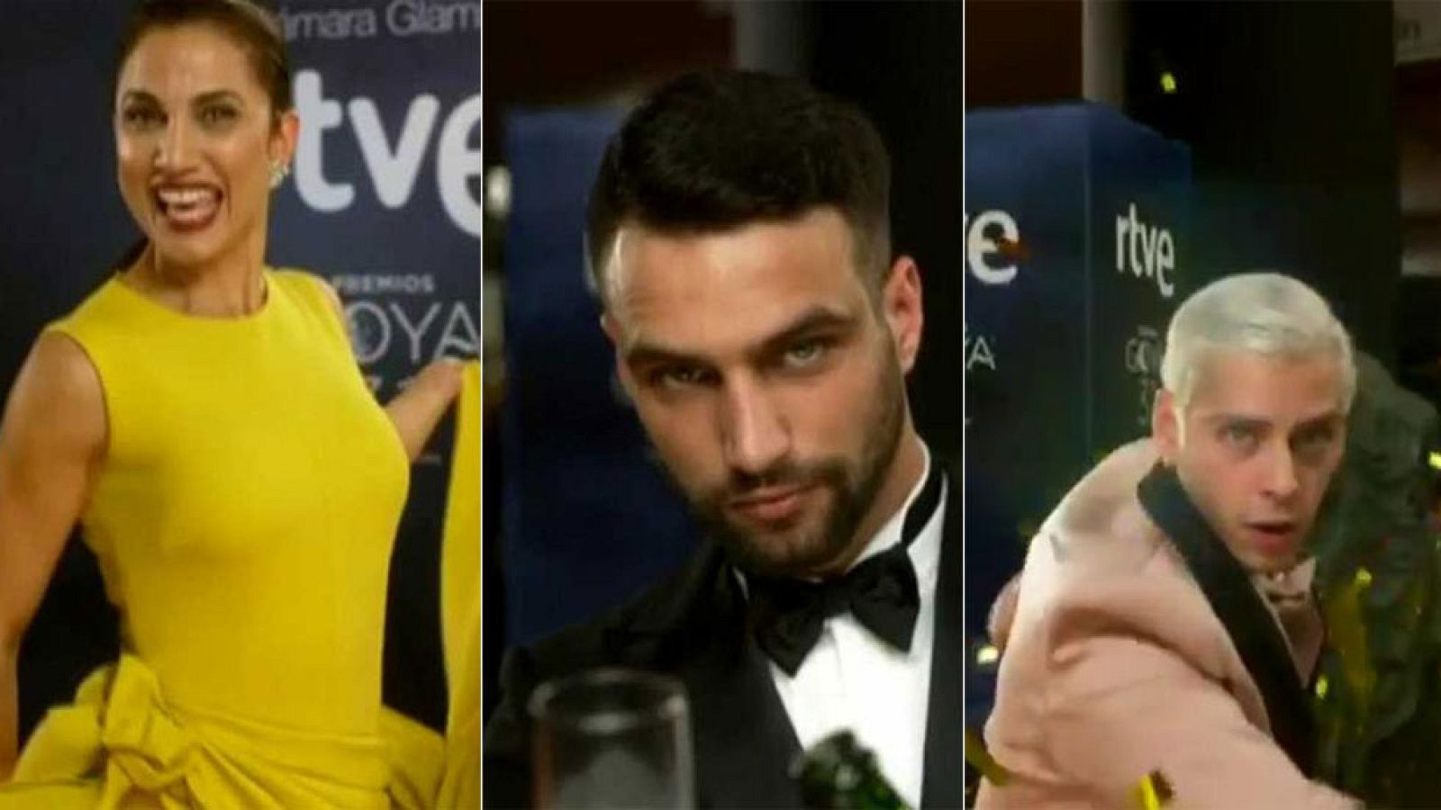 Ya han pasado los primeros invitados por la Cámara Glamur: Cristina Brondo, Ana Álvarez, Miguel Ángel Muñoz o Ana Turpin, entre otros, han pasado ya por la cámara ultralenta de RTVE en la alfombra roja.