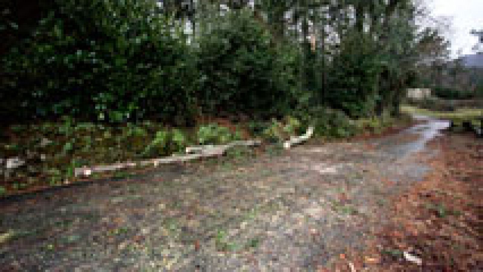 El temporal deja un muerto y ocho heridos en Galicia | Ver