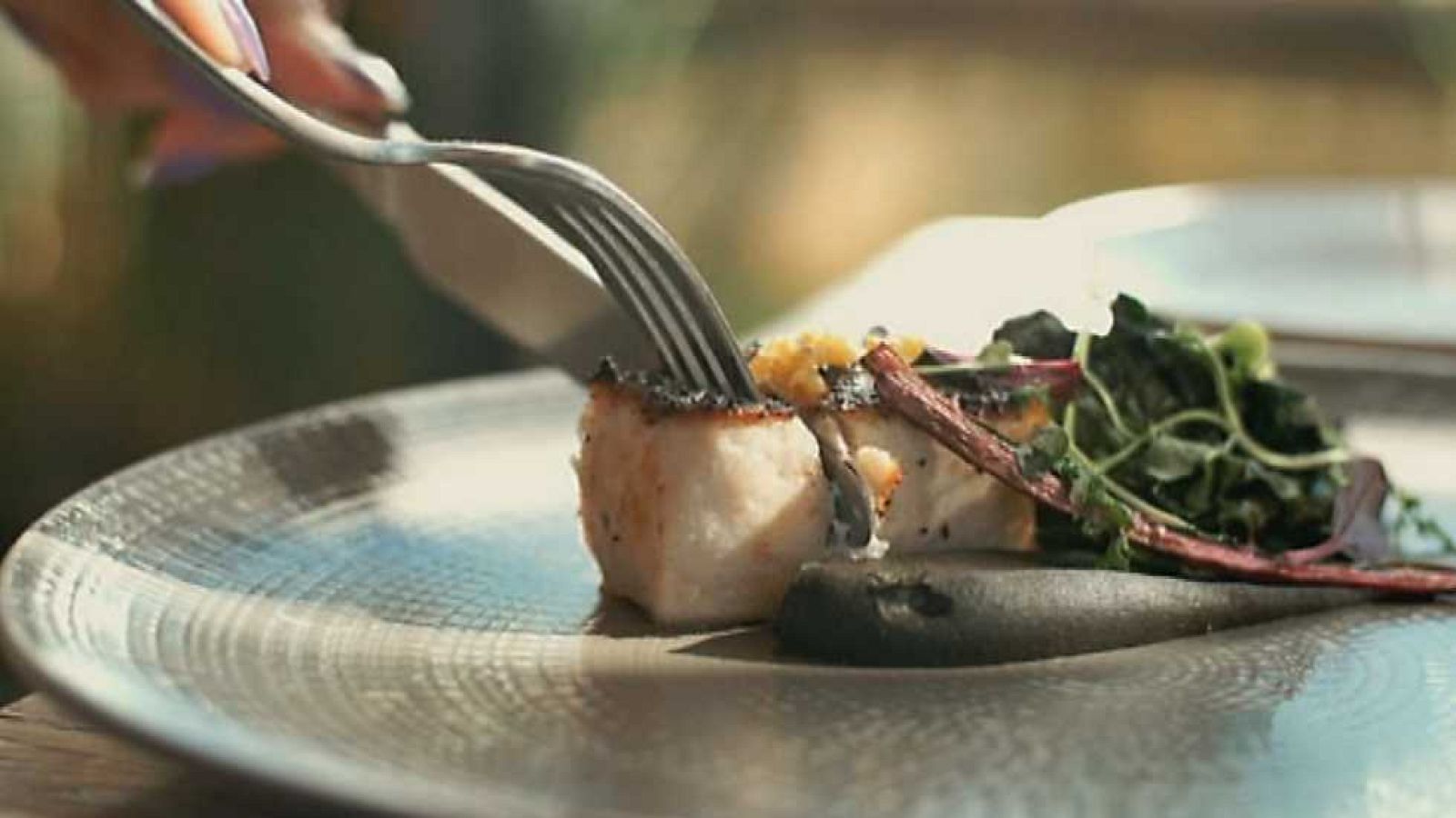 Documentales culturales - Baja Taste - ver ahora