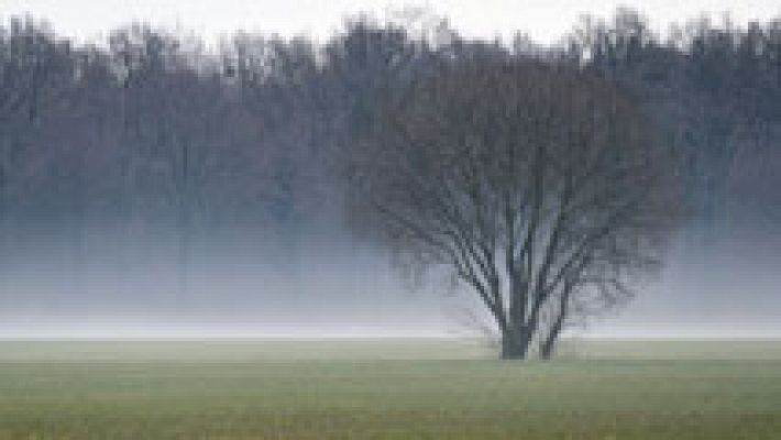 Informativo de Madrid - El Tiempo en la Comunidad de Madrid - 06/02/17