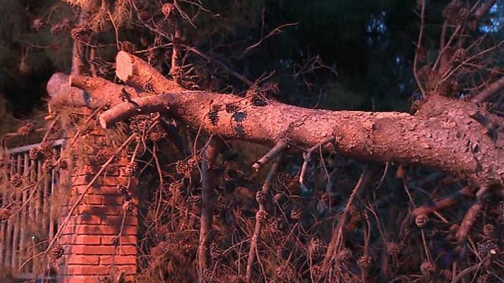 L'informatiu - Comunitat Valenciana - La Comunidad Valenciana en 2' - 06/02/17