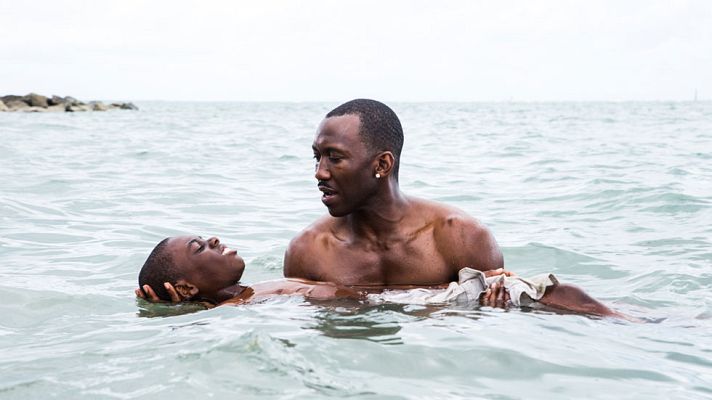 Cultura en Rtve.es - Tráiler de 'Moonlight'