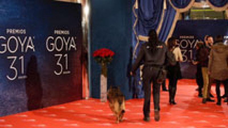 La policía investiga el robo de 30.000 euros en joyas en la gala de los Goya