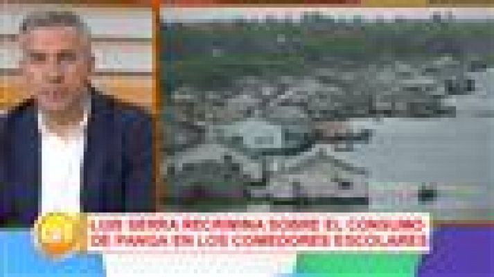 Cerca de ti - Cerca de ti - 07/02/2017