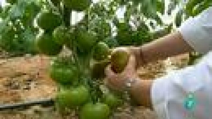 La aventura del Saber - Sección 'Jefes de cocina'. Pepa Muñoz