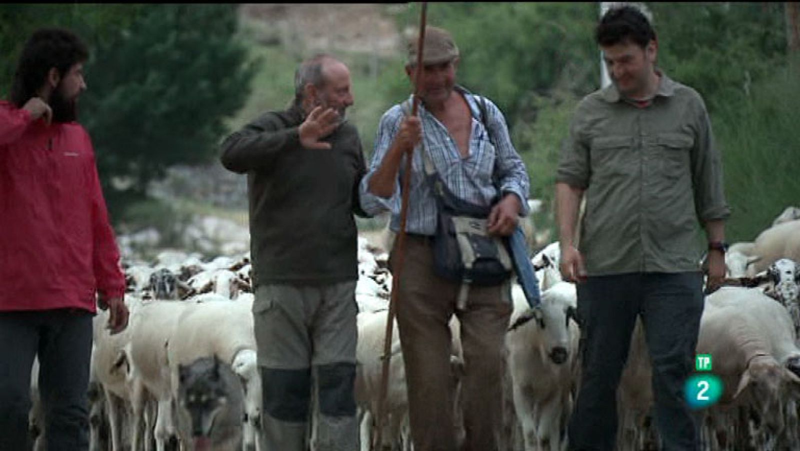 La Aventura del Saber. TVE. Serie 'El túnel del tiempo'. Memoria del camino 4: Pastores