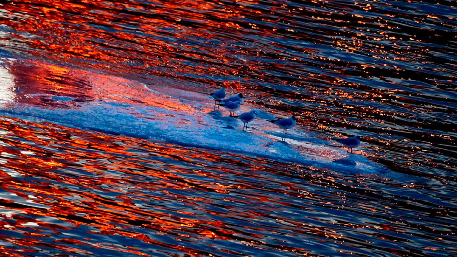 Nueve provincias estarán en riesgo por bajas temperaturas, viento y oleaje