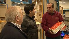 Comando Actualidad - Guerra de precios - Los cítricos